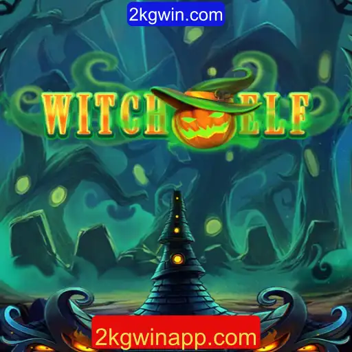 A Magia e as Regras Reveladas: Um Mergulho em WitchElf